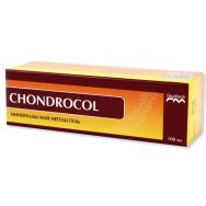 Хондрокол 100 мл гель