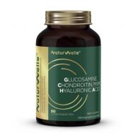 NaturWelle Глюкозамин Хондроитин №50 табл.
